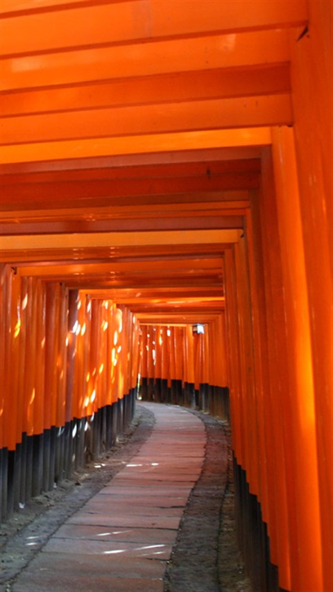 Fushimi Inari Taisha(in Kyoto) 伏見稲荷大社