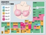 “都道府県別” 女性のバストサイズ番付！ 首位は京都・岐阜、最下位は埼玉県